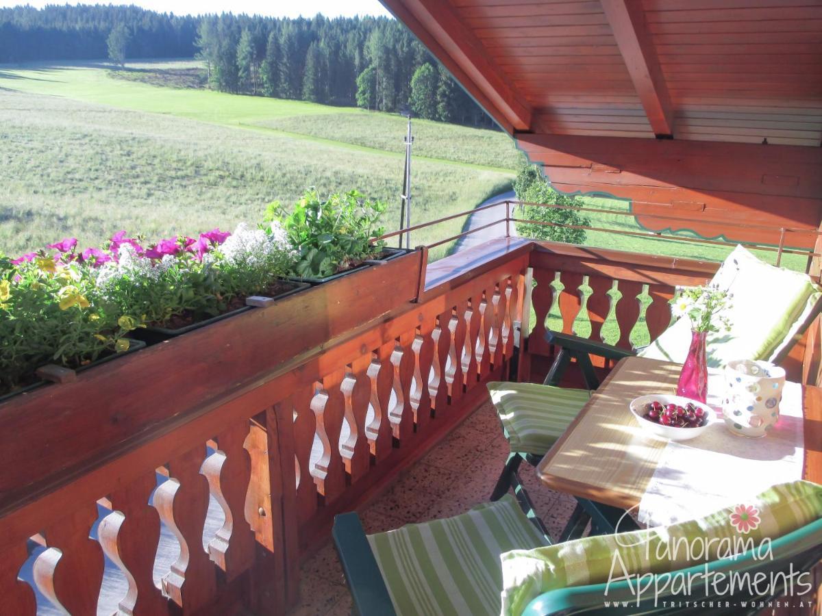 Panorama Appartement Ramsau am Dachstein Exterior photo